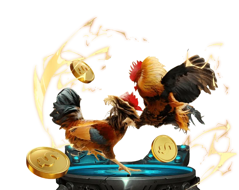 Chương trình đá gà fabet88